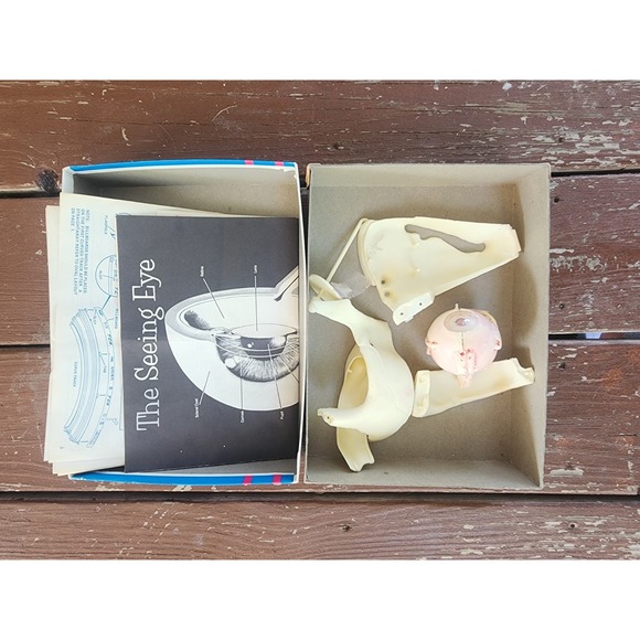 Vintage Sense Of Sight Kit EPI Made In USA Original Box Educational Products Inc - Picture 3 of 6